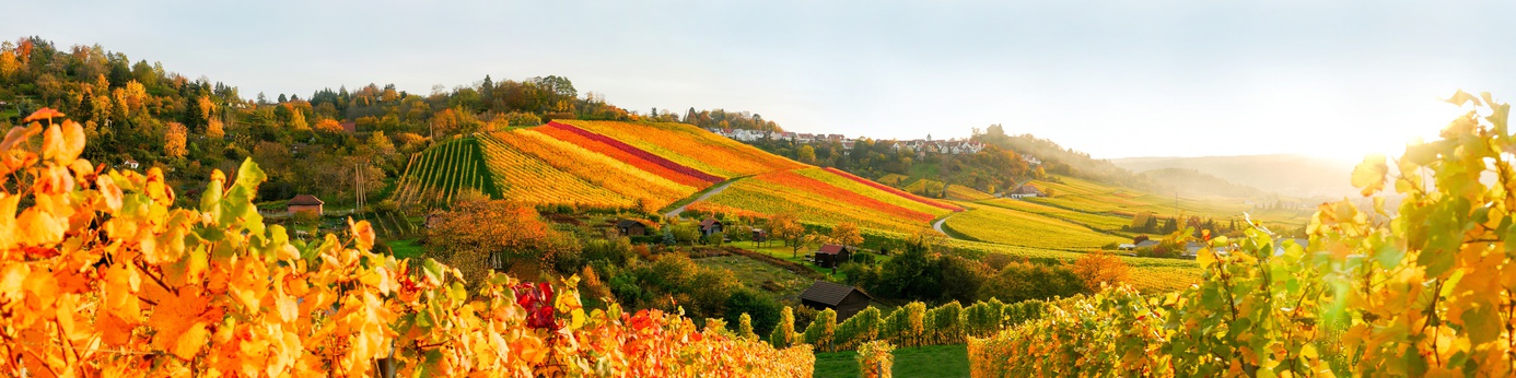 Herbstzeit