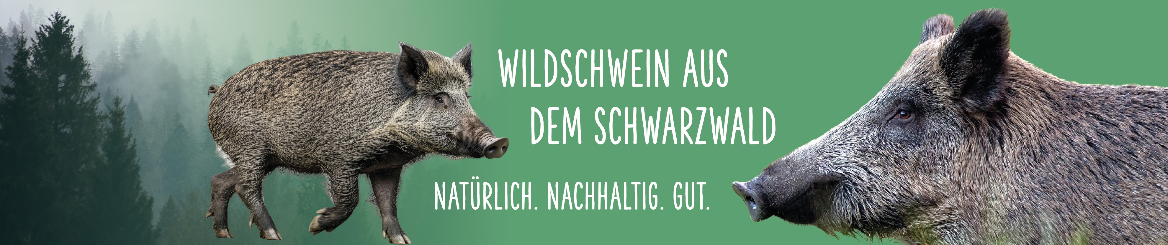Wildschwein